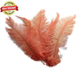 Load image into Gallery viewer, BULK 1/4lb Ostrich Feather Spad Plumes 12-16" (Apricot) - Buy Ostrich Feathers
