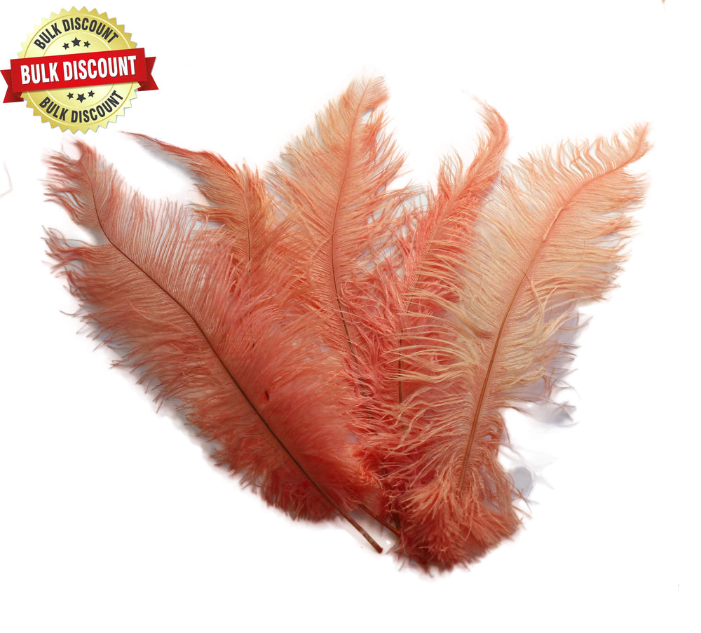 BULK 1/4lb Ostrich Feather Spad Plumes 12-16" (Apricot) - Buy Ostrich Feathers