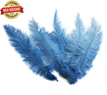 Load image into Gallery viewer, BULK 1/4lb Ostrich Feather Spad Plumes 12-16" (Baby Blue) - Buy Ostrich Feathers
