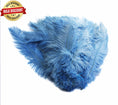 Load image into Gallery viewer, BULK 1/4lb Ostrich Feather Spad Plumes 12-16" (Baby Blue) - Buy Ostrich Feathers
