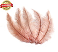 Load image into Gallery viewer, BULK 1/4lb Ostrich Feather Spad Plumes 12-16" (Baby Pink) - Buy Ostrich Feathers
