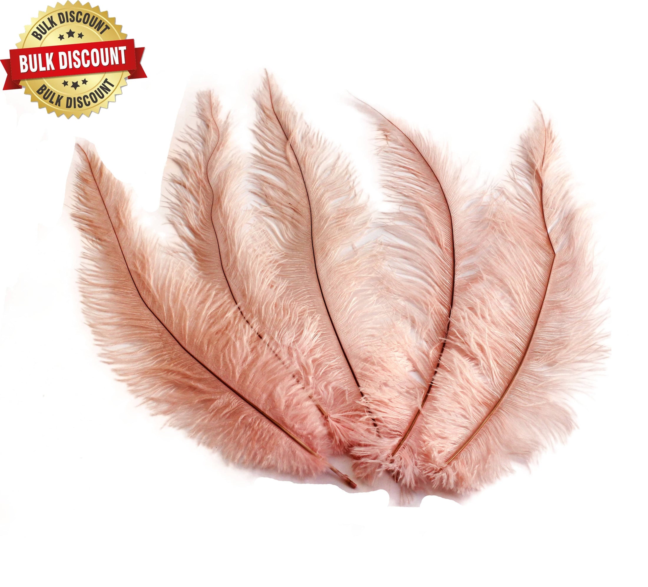 BULK 1/4lb Ostrich Feather Spad Plumes 12-16" (Baby Pink) - Buy Ostrich Feathers