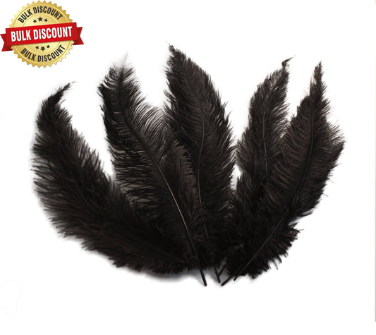 BULK 1/4lb Ostrich Feather Spad Plumes 12-16" (Black) - Buy Ostrich Feathers