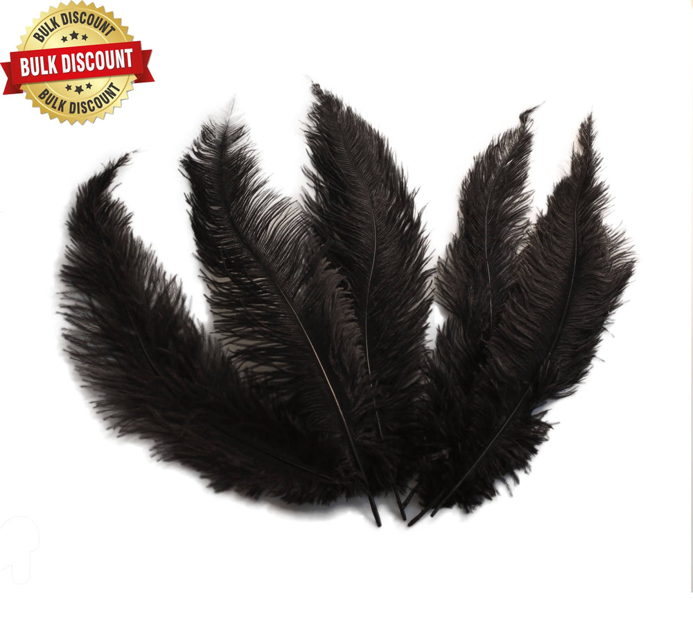 
                  
                    BULK 1/4lb Ostrich Feather Spad Plumes 12-16" (Black) - Buy Ostrich Feathers
                  
                