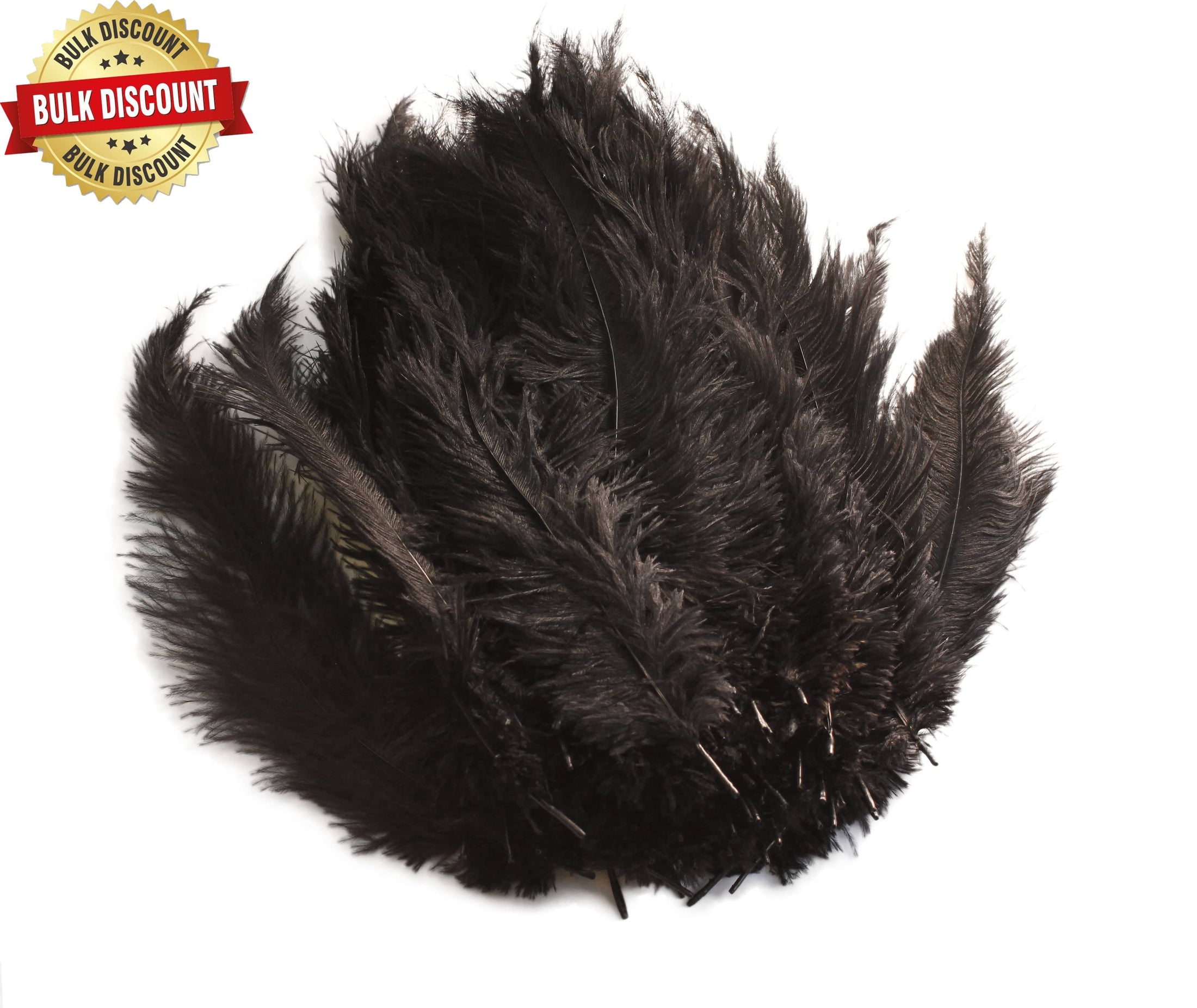 BULK 1/4lb Ostrich Feather Spad Plumes 12-16" (Black) - Buy Ostrich Feathers