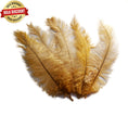 Load image into Gallery viewer, BULK 1/4lb Ostrich Feather Spad Plumes 12-16" (Gold) - Buy Ostrich Feathers
