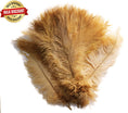 Load image into Gallery viewer, BULK 1/4lb Ostrich Feather Spad Plumes 12-16" (Gold) - Buy Ostrich Feathers
