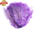 Load image into Gallery viewer, BULK 1/4lb Ostrich Feather Spad Plumes 12-16" (Lavender) - Buy Ostrich Feathers
