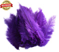 Load image into Gallery viewer, BULK 1/4lb Ostrich Feather Spad Plumes 12-16" (Purple) - Buy Ostrich Feathers
