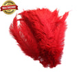 Load image into Gallery viewer, BULK 1/4lb Ostrich Feather Spad Plumes 12-16" (Red) - Buy Ostrich Feathers
