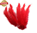 Load image into Gallery viewer, BULK 1/4lb Ostrich Feather Spad Plumes 12-16" (Red) - Buy Ostrich Feathers
