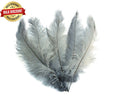 Load image into Gallery viewer, BULK 1/4lb Ostrich Feather Spad Plumes 12-16" (Silver/Grey) - Buy Ostrich Feathers
