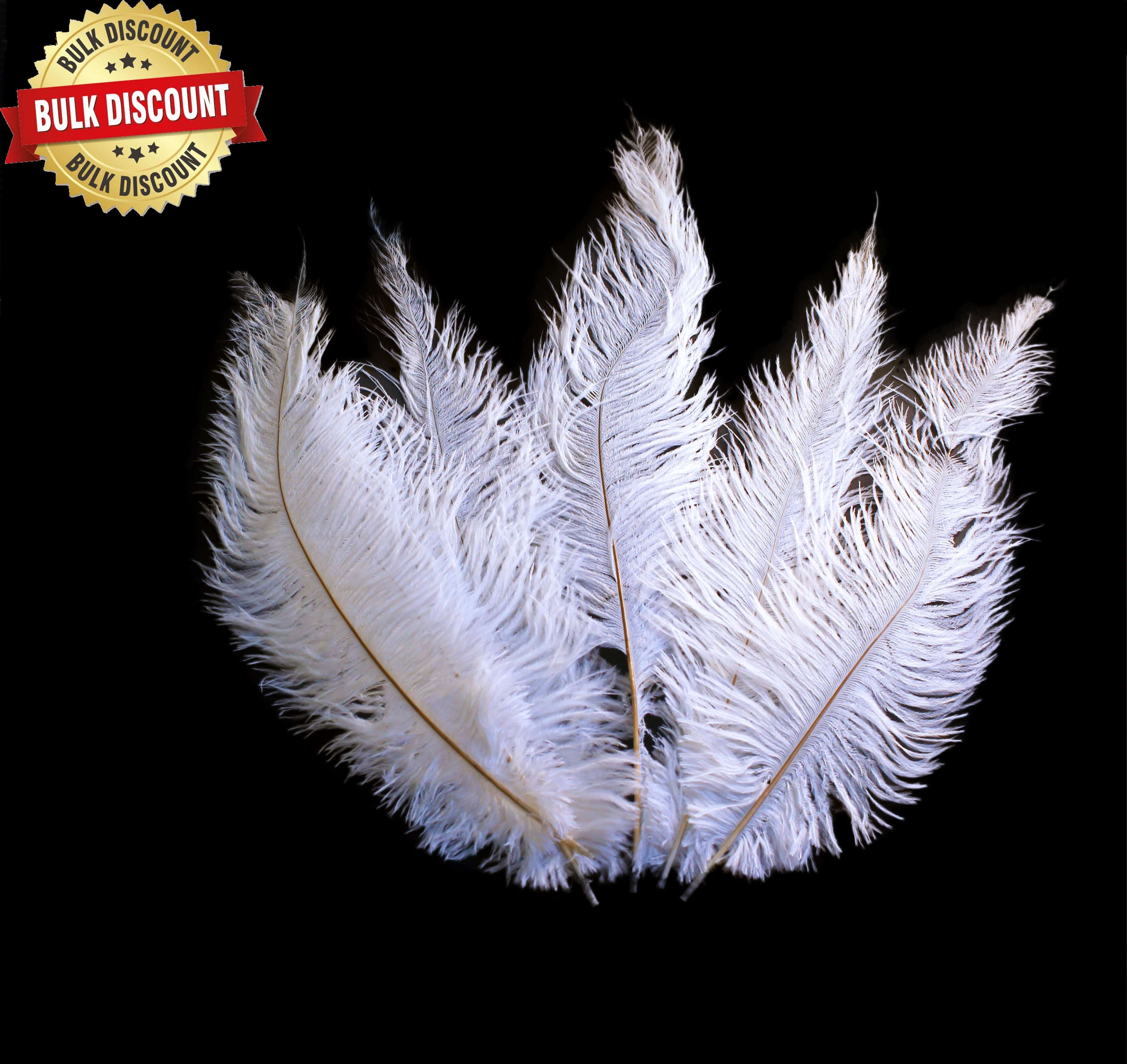 Bulk Gray Ostrich Feathers Plumes 22-24 inches Wholesale Large feathers  Indian feathers Wholesale Bulk Dozen Cheap Discount