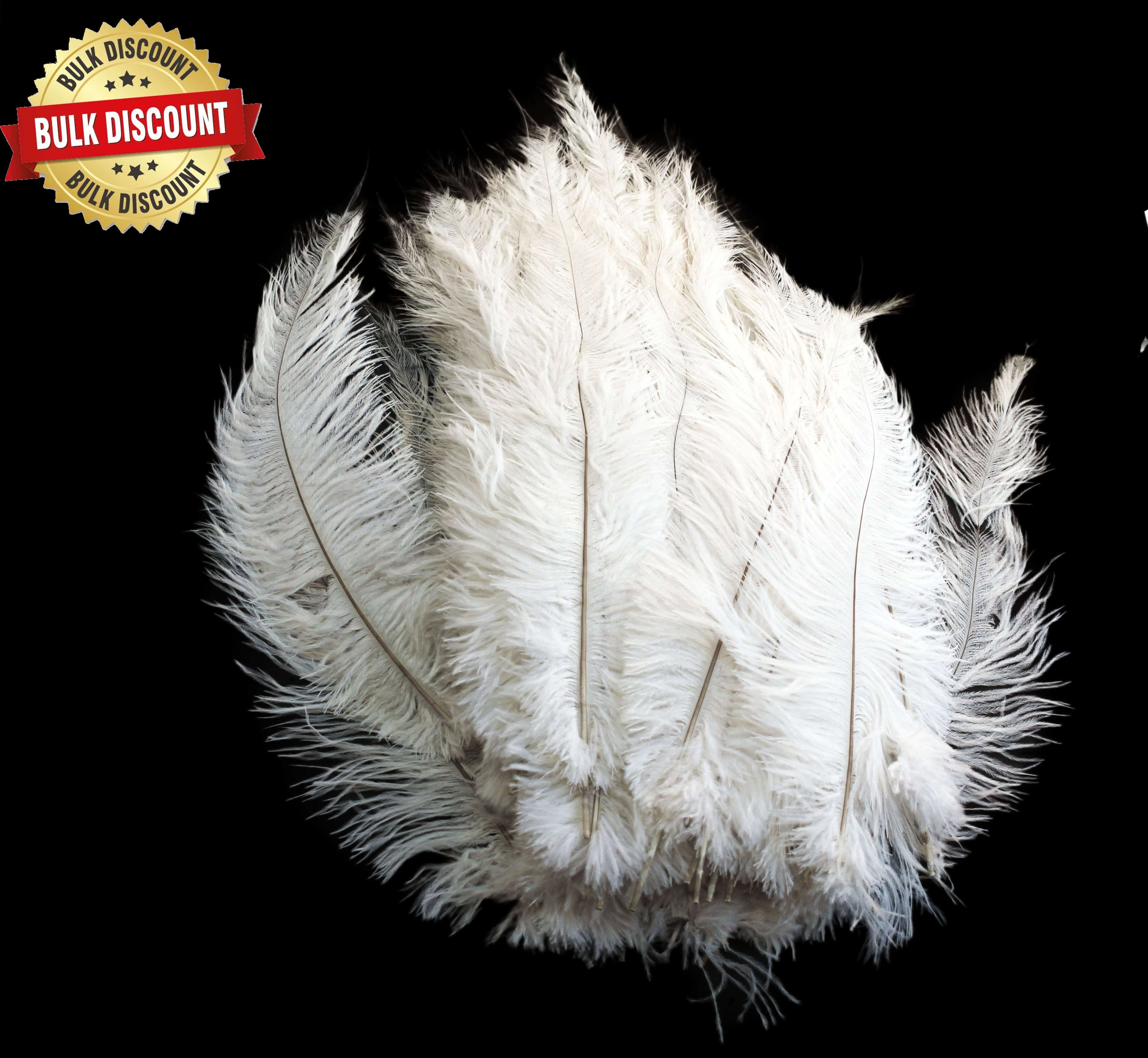 BULK 1 4lb Ostrich Feather Spad Plumes 12 16 White for Sale Online