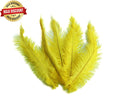 Load image into Gallery viewer, BULK 1/4lb Ostrich Feather Spad Plumes 12-16" (Yellow) - Buy Ostrich Feathers
