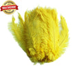 Load image into Gallery viewer, BULK 1/4lb Ostrich Feather Spad Plumes 12-16" (Yellow) - Buy Ostrich Feathers
