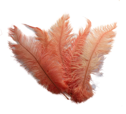 Ostrich Feather Spad Plumes 12-15" (Apricot) - Buy Ostrich Feathers