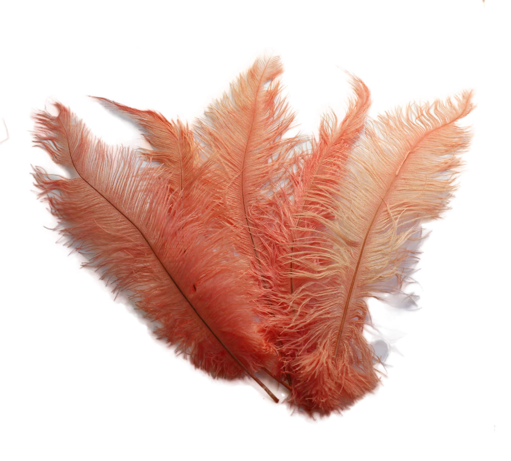 
                  
                    Ostrich Feather Spad Plumes 12-15" (Apricot) - Buy Ostrich Feathers
                  
                