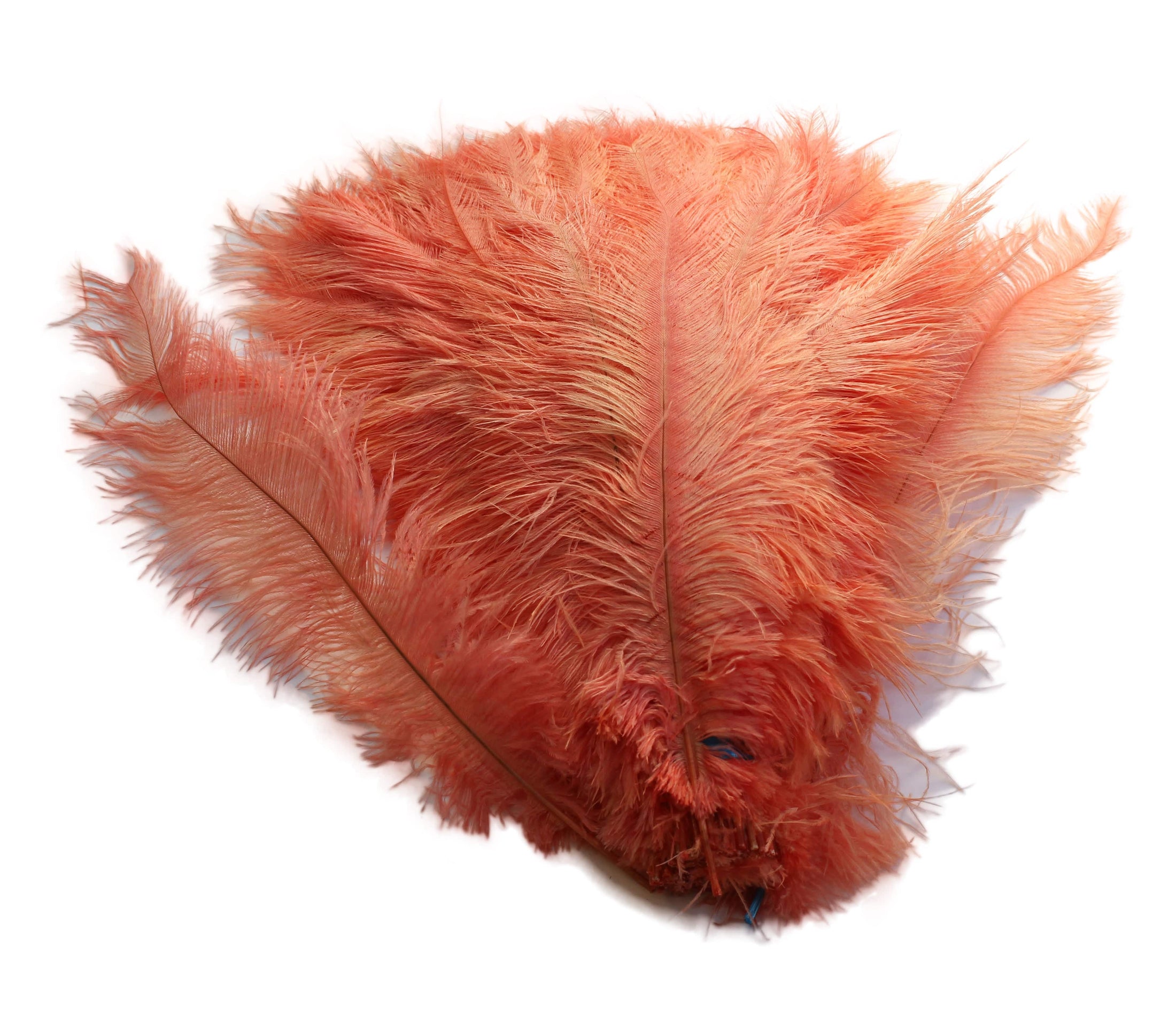 Ostrich Feather Spad Plumes 12-15" (Apricot) - Buy Ostrich Feathers