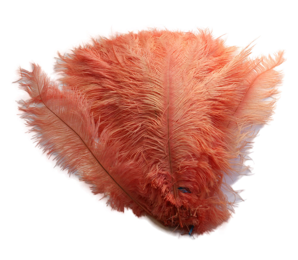 
                  
                    Ostrich Feather Spad Plumes 12-15" (Apricot) - Buy Ostrich Feathers
                  
                