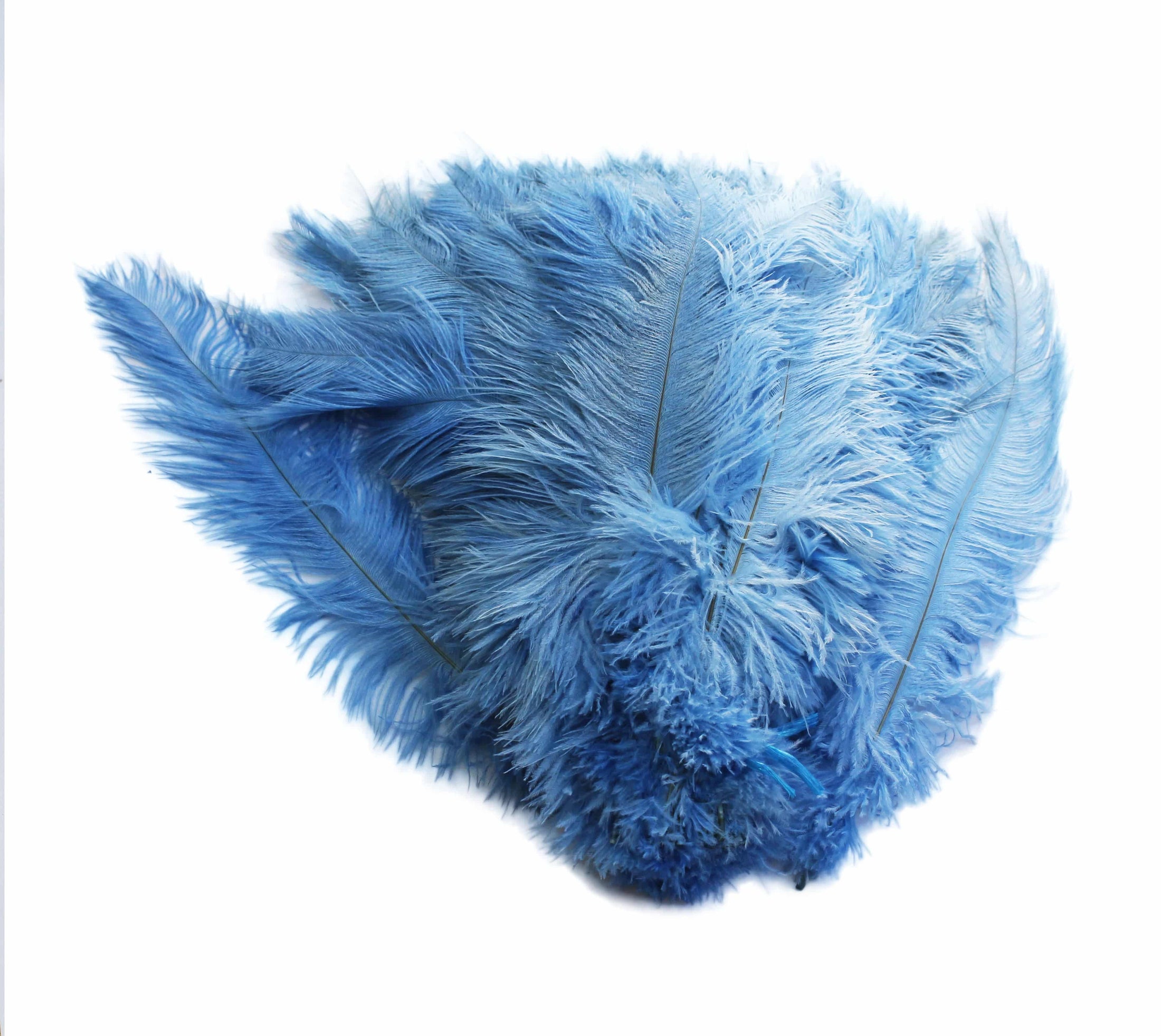 Ostrich Feather Spad Plumes 13-16" (Baby Blue) - Buy Ostrich Feathers