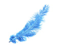 Load image into Gallery viewer, Ostrich Feather Spad Plumes 13-16" (Baby Blue) - Buy Ostrich Feathers
