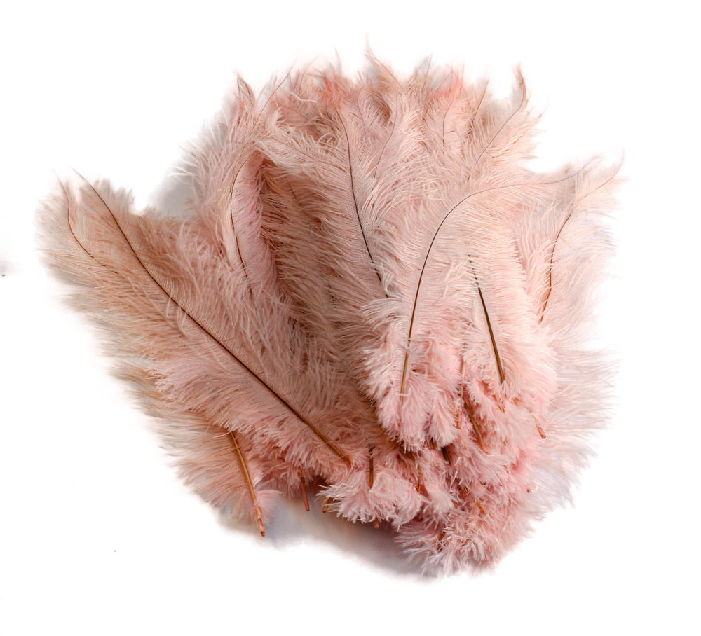 
                  
                    Ostrich Feather Spad Plumes 13-16" (Baby Pink) - Buy Ostrich Feathers
                  
                