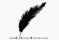 Load image into Gallery viewer, Ostrich Feather Spad Plumes 13-16" (Black) - Buy Ostrich Feathers
