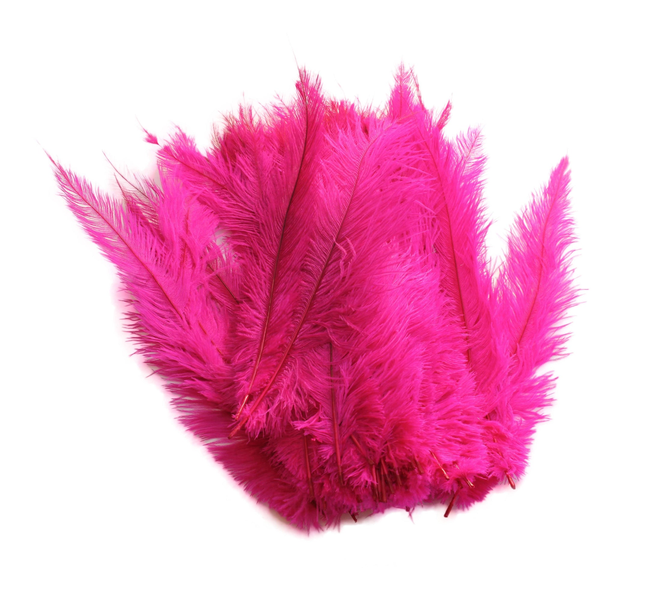 Ostrich Feather Spad Plumes 13-16" (Fuschia) - Buy Ostrich Feathers