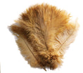 Load image into Gallery viewer, Ostrich Feather Spad Plumes 13-16" (Gold) - Buy Ostrich Feathers
