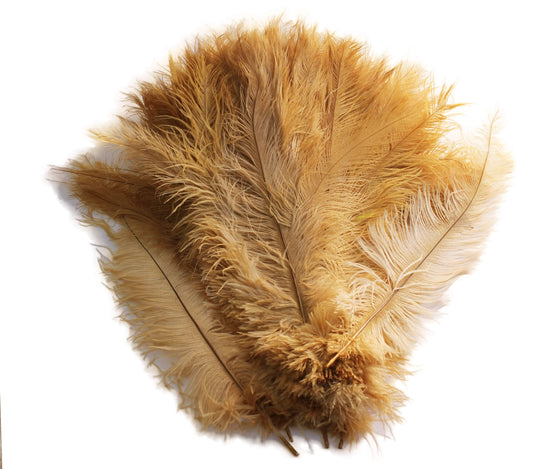 Ostrich Feather Spad Plumes 13-16" (Gold) - Buy Ostrich Feathers