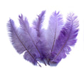 Load image into Gallery viewer, Ostrich Feather Spad Plumes 13-16" (Lavender) - Buy Ostrich Feathers
