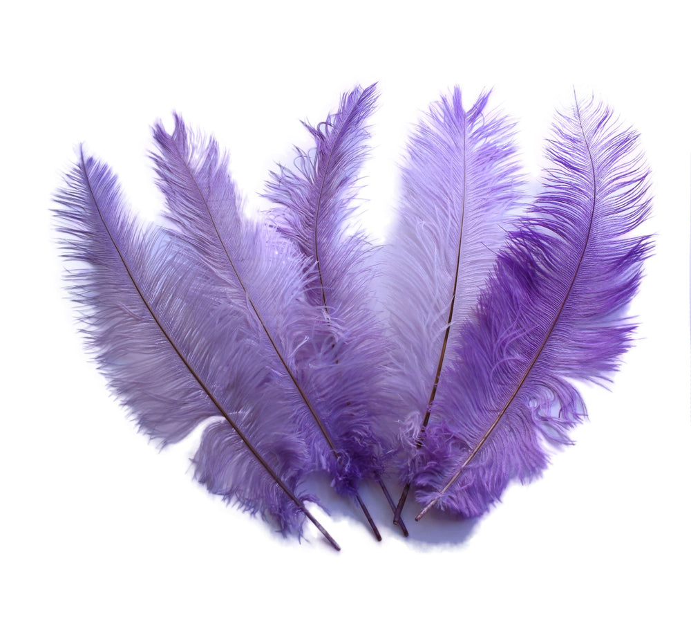 Ostrich Feathers 13-16 Drabs - Purple