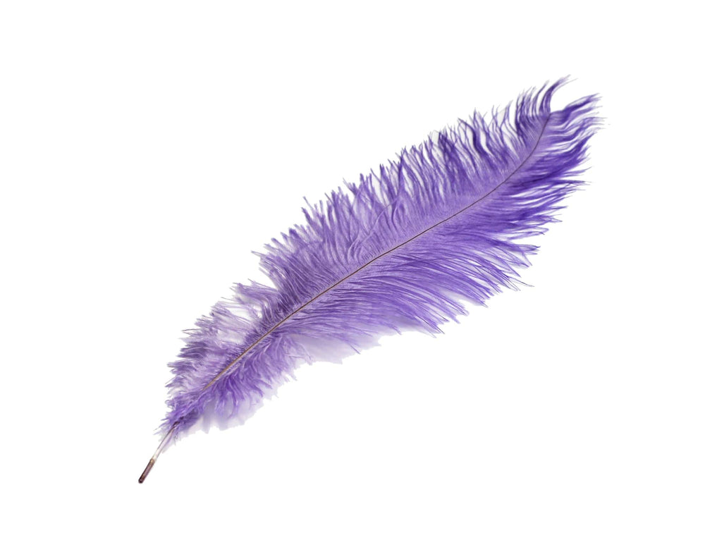 Ostrich Feather Spad Plumes 13-16 (Purple) for Sale Online