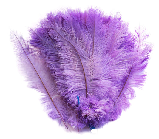 Ostrich Feather Spad Plumes 13-16" (Lavender) - Buy Ostrich Feathers