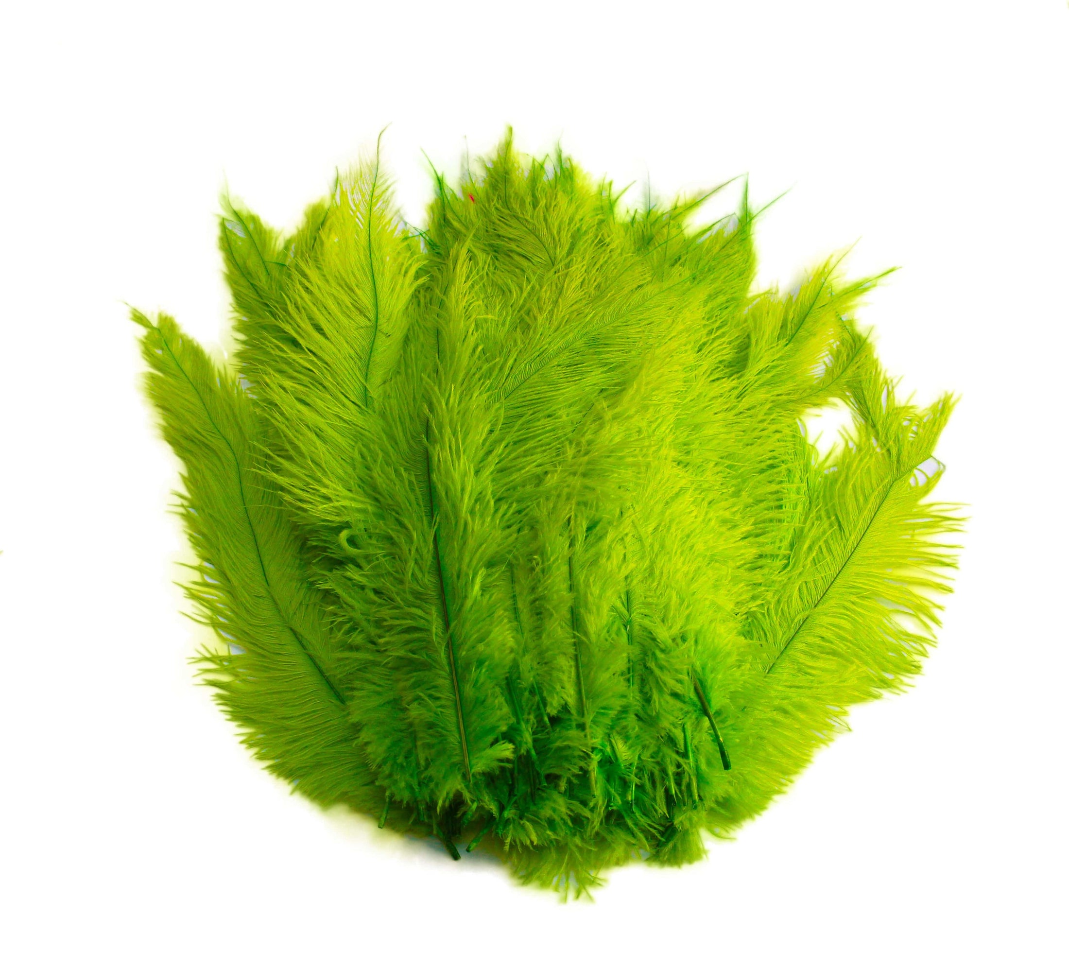 Ostrich Feather Spad Plumes 13-16" (Lime Green) - Buy Ostrich Feathers