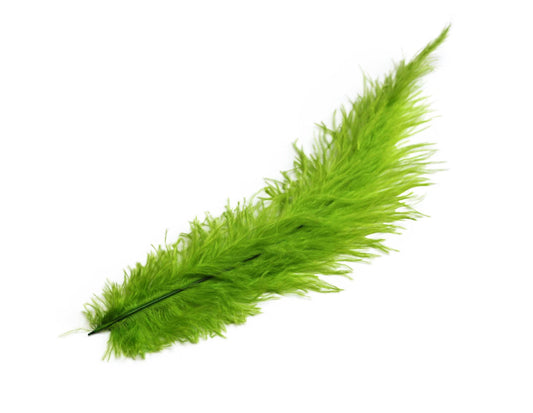 Ostrich Feather Spad Plumes 13-16" (Lime Green) - Buy Ostrich Feathers