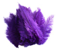 Load image into Gallery viewer, Ostrich Feather Spad Plumes 13-16" (Purple) - Buy Ostrich Feathers
