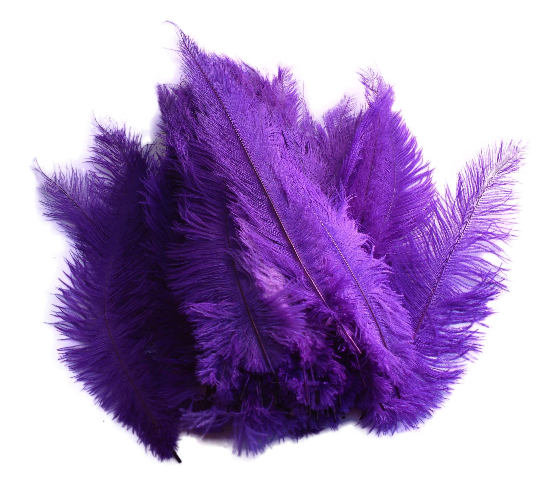 Ostrich Feather Spad Plumes 13-16" (Purple) - Buy Ostrich Feathers