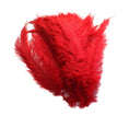 Load image into Gallery viewer, Ostrich Feather Spad Plumes 13-16" (Red) - Buy Ostrich Feathers
