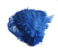 Load image into Gallery viewer, Ostrich Feather Spad Plumes 13-16" (Royal Blue) - Buy Ostrich Feathers
