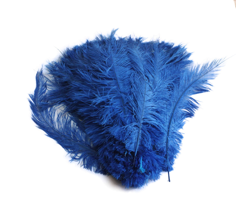 
                  
                    Ostrich Feather Spad Plumes 13-16" (Royal Blue) - Buy Ostrich Feathers
                  
                