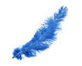 Load image into Gallery viewer, Ostrich Feather Spad Plumes 13-16" (Royal Blue) - Buy Ostrich Feathers
