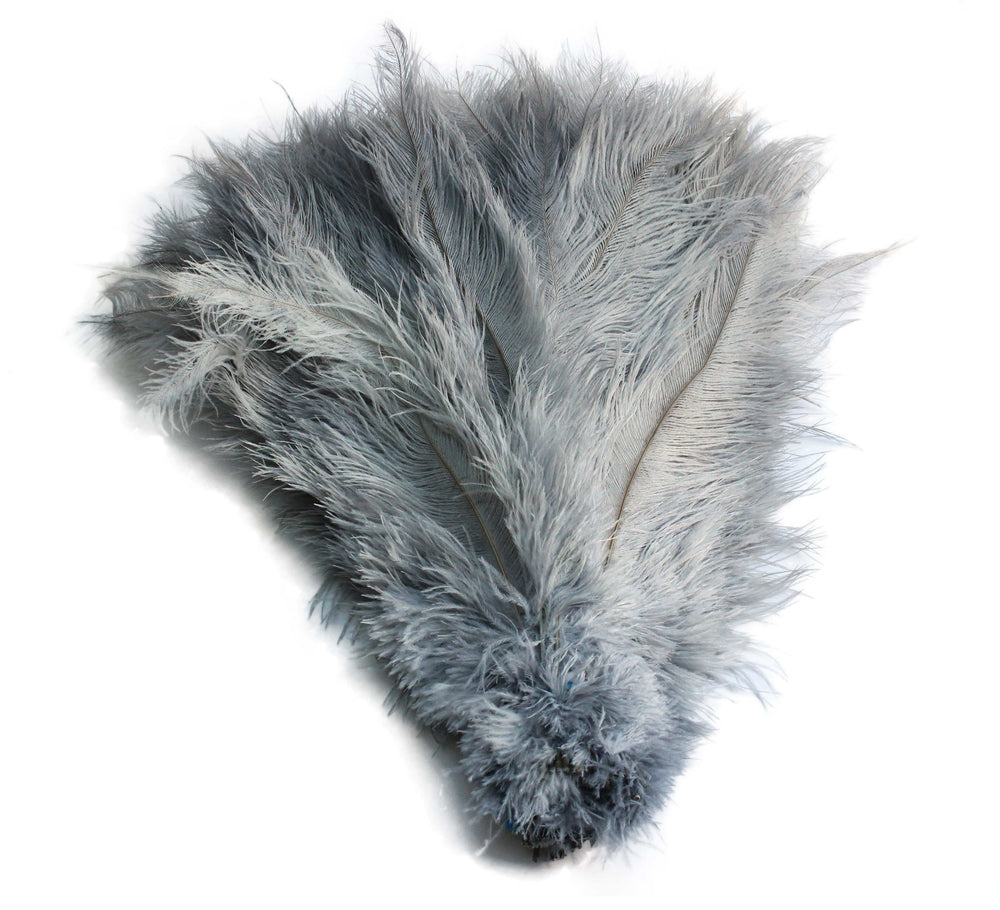 
                  
                    Ostrich Feather Spad Plumes 13-16" (Silver) - Buy Ostrich Feathers
                  
                