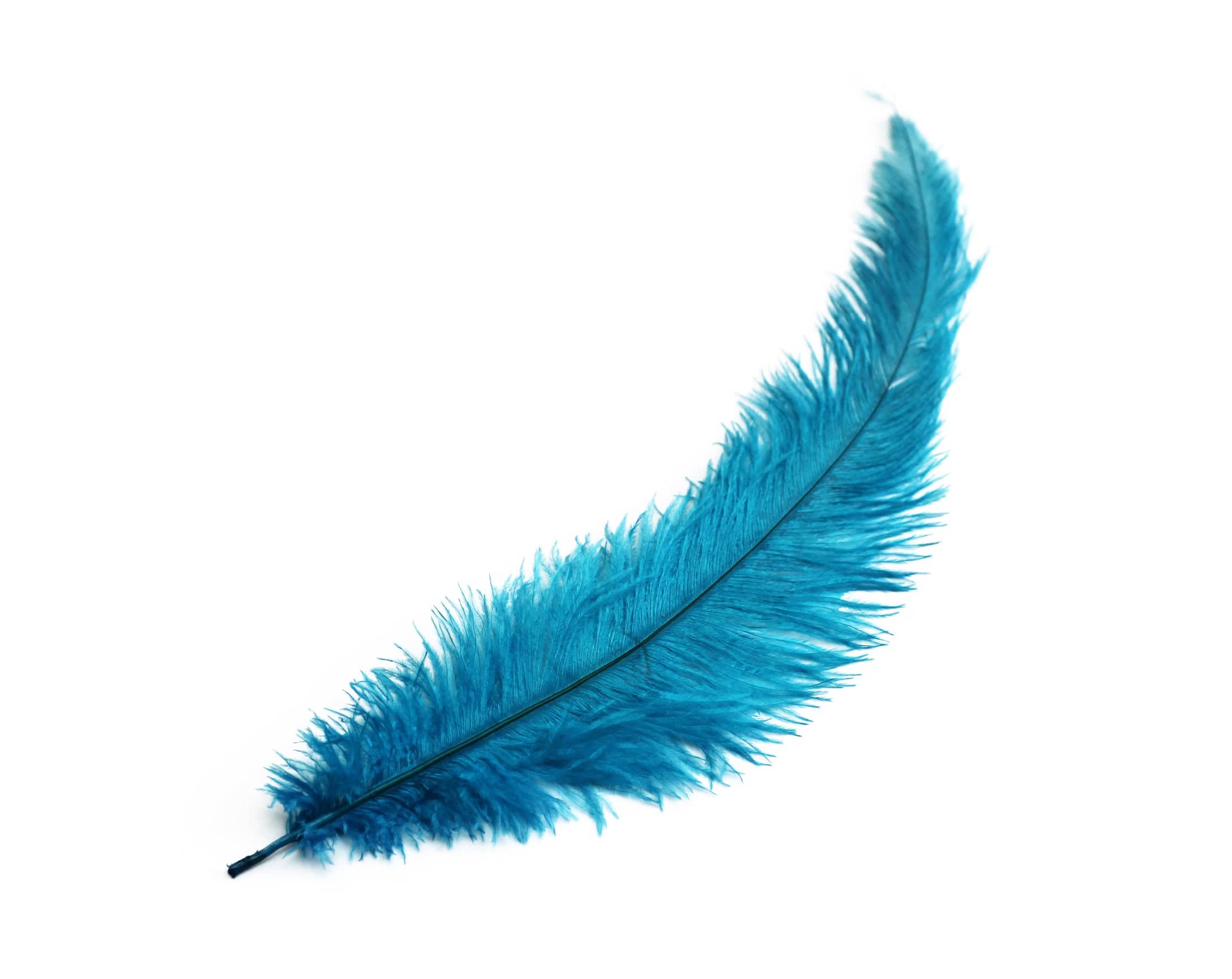 Ostrich Feather Spad Plumes 13-16" (Turquoise) - Buy Ostrich Feathers