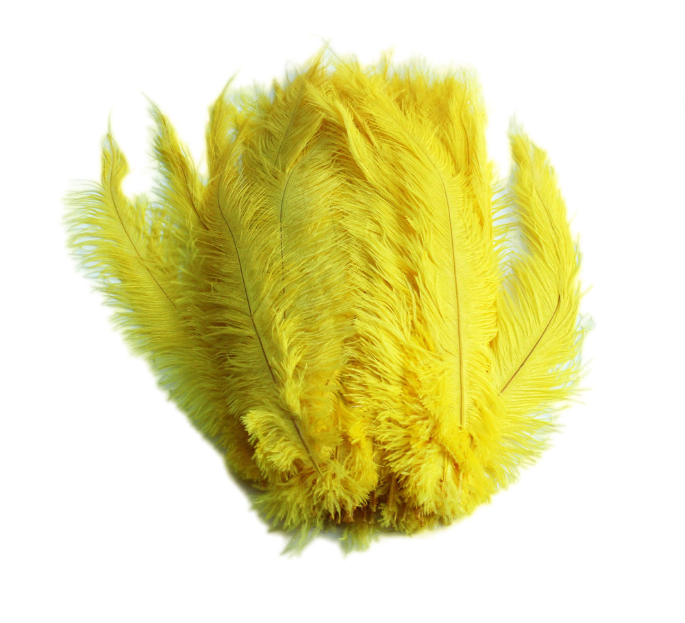 
                  
                    Ostrich Feather Spad Plumes 13-16" (Yellow) - Buy Ostrich Feathers
                  
                