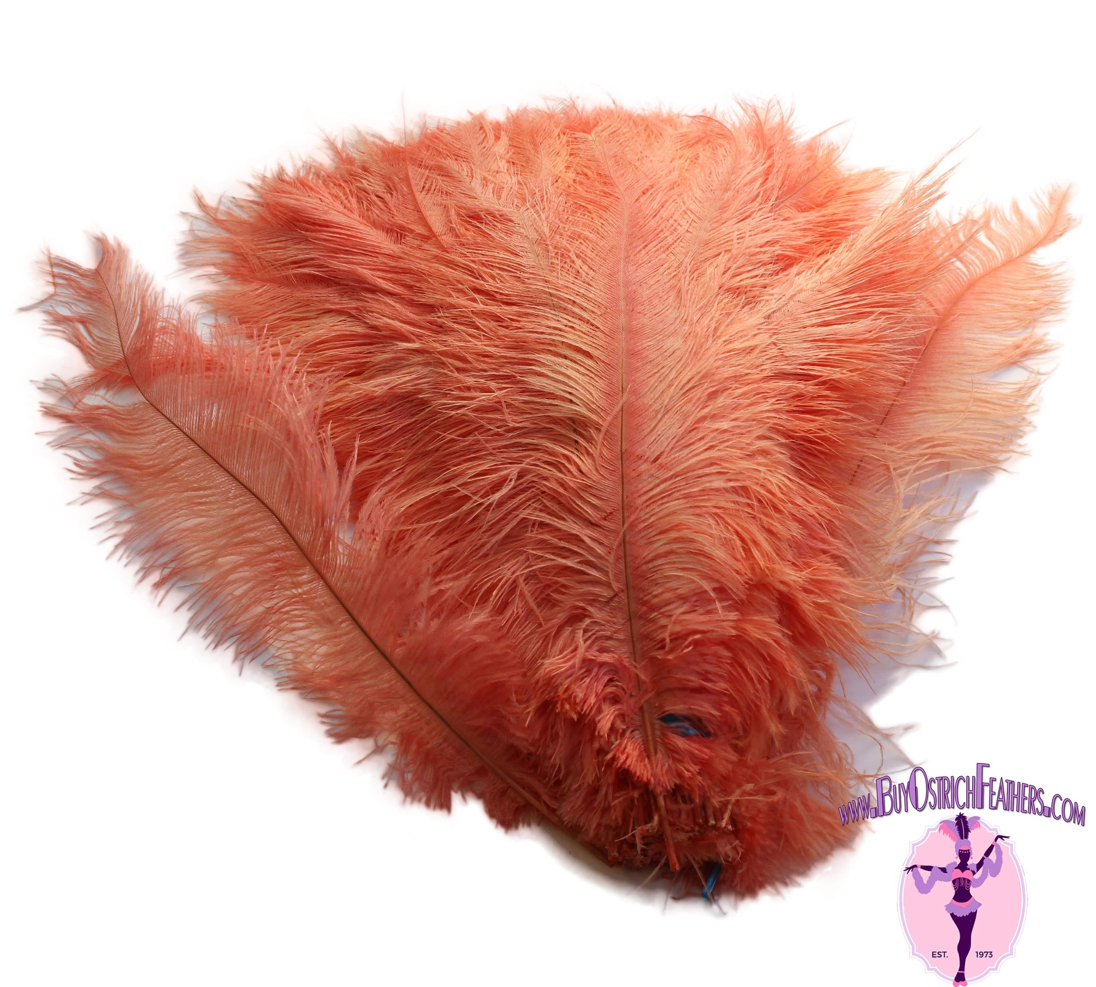 Ostrich Feather Spad Plumes 16-20" (Apricot) - Buy Ostrich Feathers