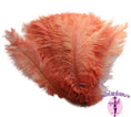 Load image into Gallery viewer, Ostrich Feather Rental 16-20" (Apricot) - 250pcs - Buy Ostrich Feathers
