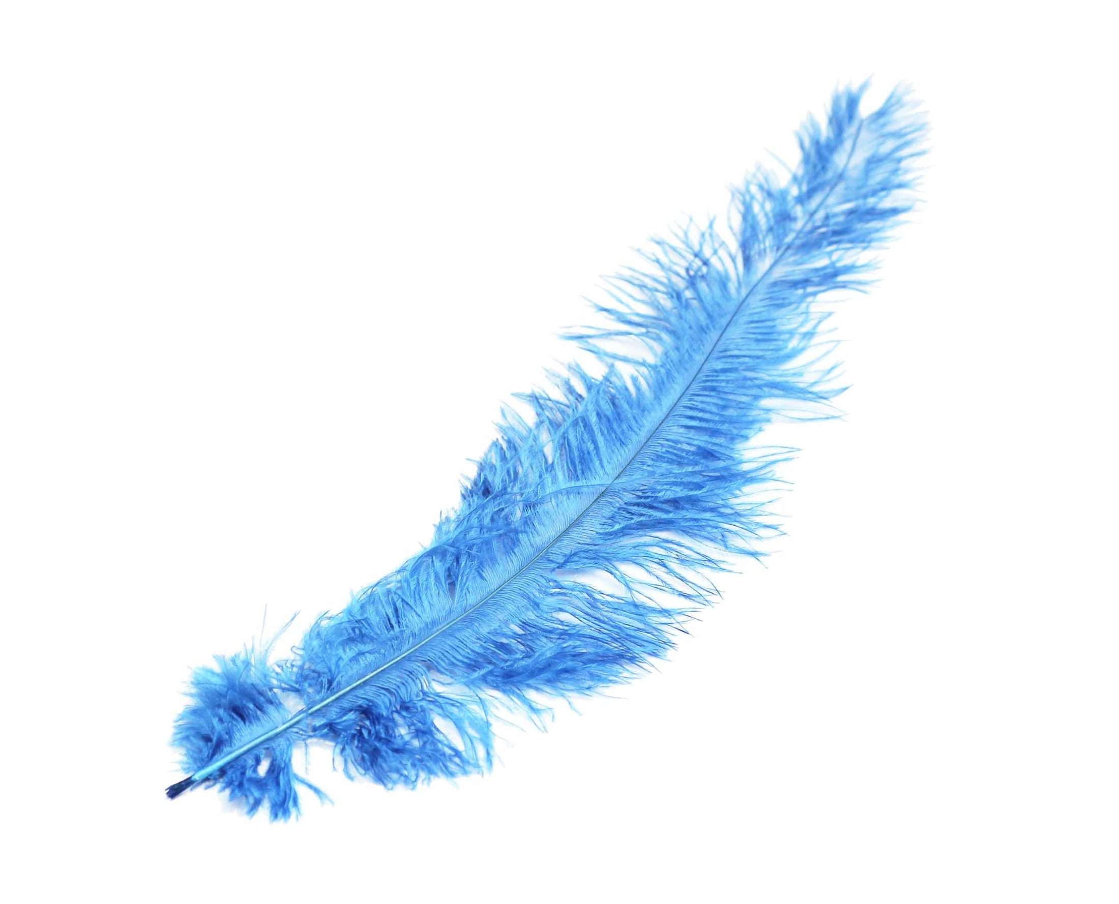 Ostrich Feather Spad Plumes 16-20" (Baby Blue) - Buy Ostrich Feathers