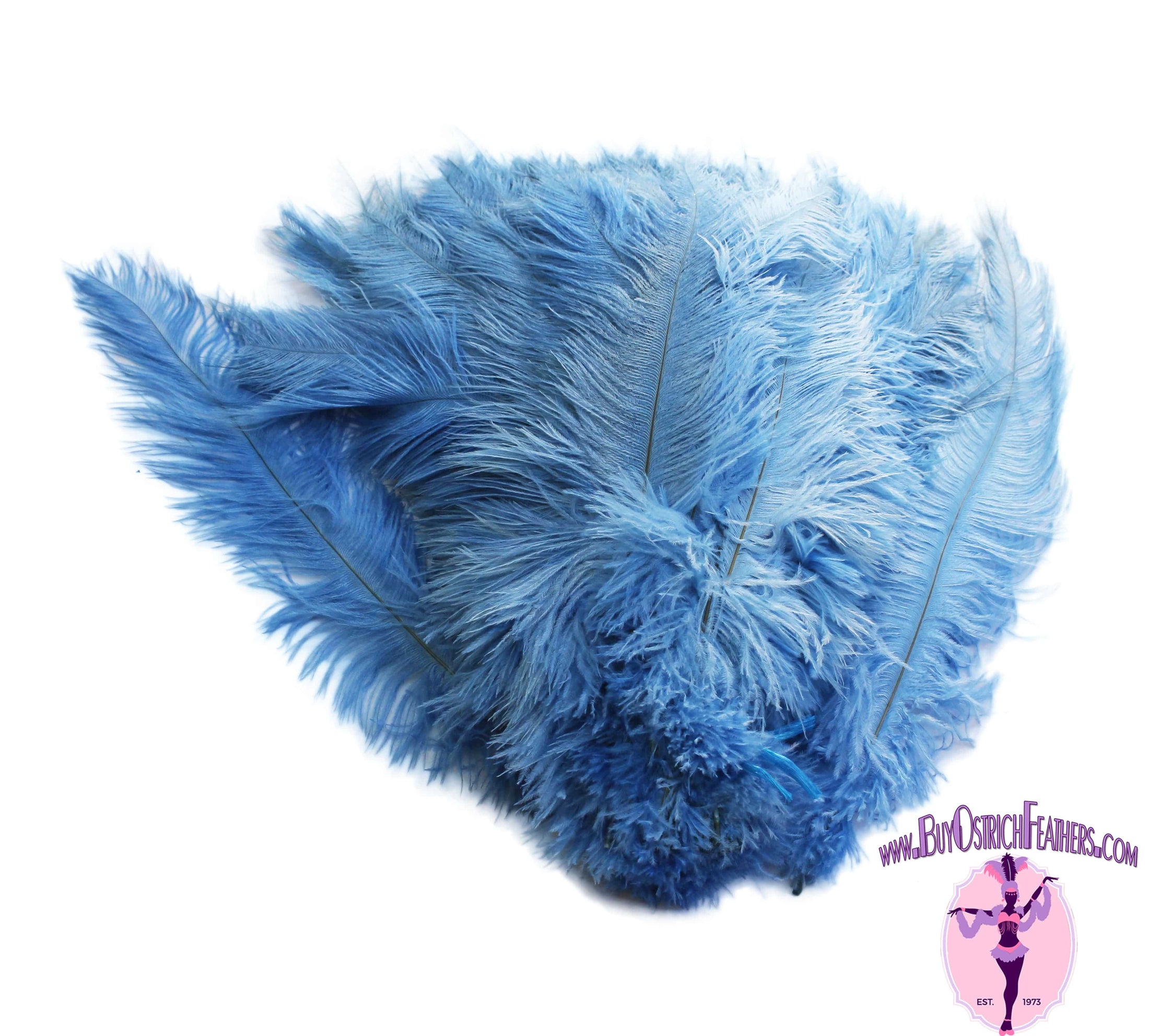 Ostrich Feather Spad Plumes 16-20" (Baby Blue) - Buy Ostrich Feathers